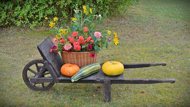 Sustainable Living: A Holistic Approach to Eco-Friendly Homes