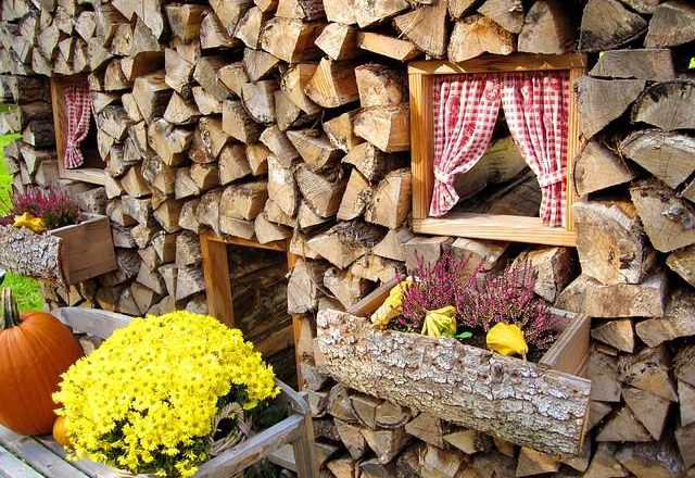 Biodegradable Wallpaper: Sustainable Style for Your Walls